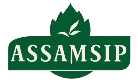 Green tea bushes growing on 47 hectares at Borthakur family garden near Brahmaputra river in Dibrugarh Assam India